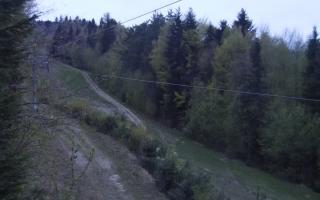 Laskowa pośredni - 01-05-2026 02:52