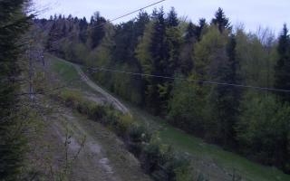 Laskowa pośredni - 01-05-2026 03:03