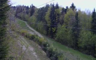 Laskowa pośredni - 01-05-2026 03:14