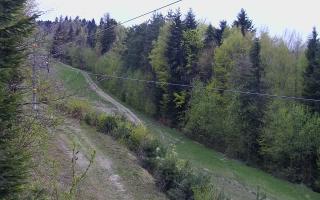 Laskowa pośredni - 01-05-2026 03:58