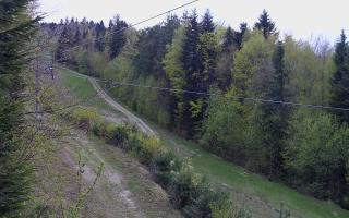 Laskowa pośredni - 01-05-2026 04:09