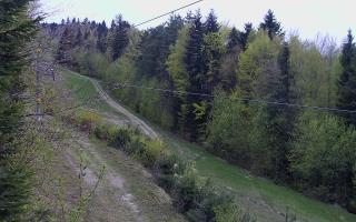 Laskowa pośredni - 01-05-2026 04:20