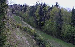 Laskowa pośredni - 01-05-2026 04:31