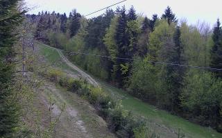 Laskowa pośredni - 01-05-2026 04:41