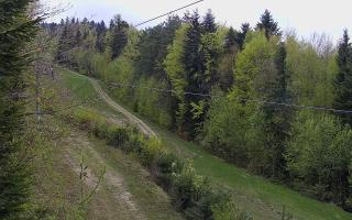 Laskowa pośredni - 01-05-2026 13:50
