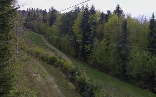 Laskowa pośredni - 01-05-2026 14:01