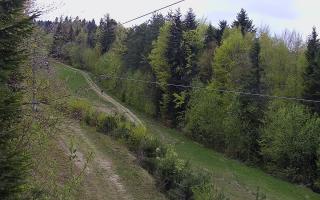 Laskowa pośredni - 01-05-2026 14:12