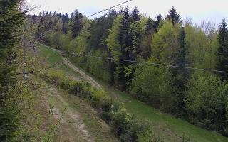 Laskowa pośredni - 01-05-2026 14:23