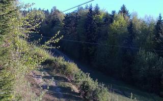 Laskowa pośredni - 03-05-2026 04:05