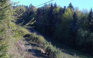 Laskowa pośredni - 03-05-2026 04:16