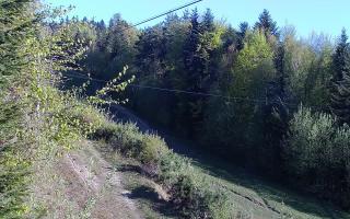 Laskowa pośredni - 03-05-2026 04:49
