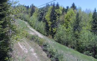 Laskowa pośredni - 03-05-2026 08:07