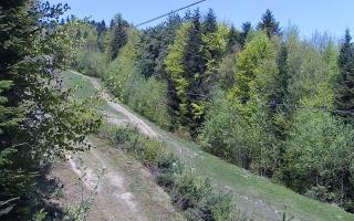 Laskowa pośredni - 03-05-2026 08:28