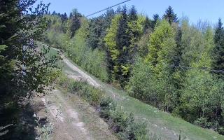 Laskowa pośredni - 03-05-2026 08:50