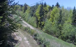 Laskowa pośredni - 03-05-2026 09:01