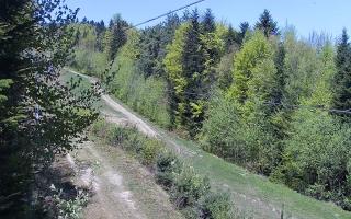 Laskowa pośredni - 03-05-2026 09:12