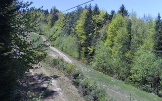 Laskowa pośredni - 03-05-2026 09:56