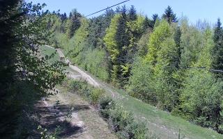 Laskowa pośredni - 03-05-2026 10:07