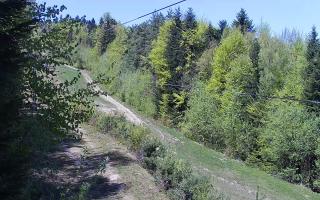 Laskowa pośredni - 03-05-2026 10:18