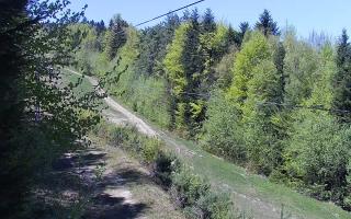 Laskowa pośredni - 03-05-2026 10:29