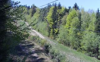 Laskowa pośredni - 03-05-2026 10:40