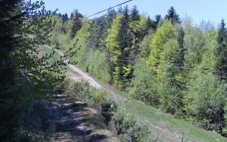 Laskowa pośredni - 03-05-2026 10:51