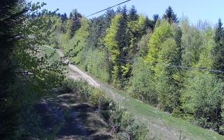 Laskowa pośredni - 03-05-2026 11:02