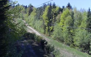 Laskowa pośredni - 03-05-2026 11:24