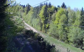 Laskowa pośredni - 03-05-2026 11:46