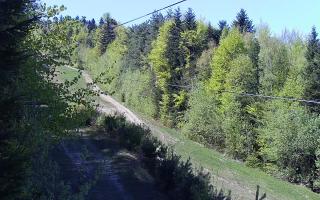 Laskowa pośredni - 03-05-2026 11:57