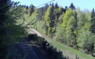 Laskowa pośredni - 03-05-2026 12:41