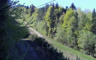 Laskowa pośredni - 03-05-2026 13:14
