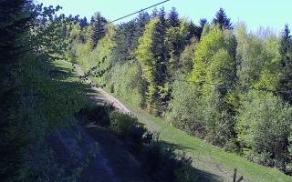 Laskowa pośredni - 03-05-2026 13:36