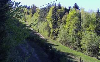 Laskowa pośredni - 03-05-2026 13:58
