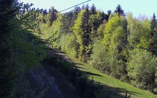 Laskowa pośredni - 03-05-2026 14:09