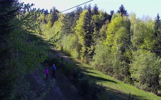 Laskowa pośredni - 03-05-2026 14:20