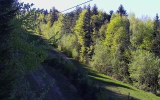 Laskowa pośredni - 03-05-2026 14:31