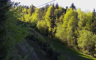 Laskowa pośredni - 03-05-2026 14:53