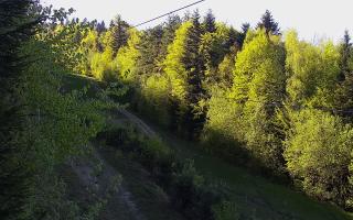 Laskowa pośredni - 03-05-2026 15:04