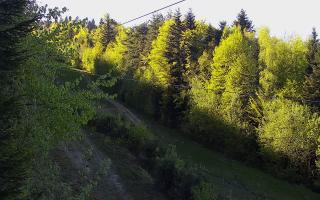 Laskowa pośredni - 03-05-2026 15:15