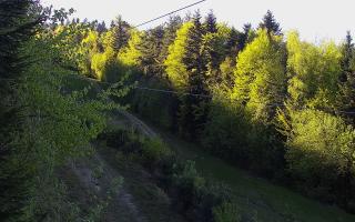 Laskowa pośredni - 03-05-2026 15:26