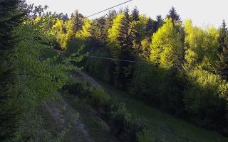Laskowa pośredni - 03-05-2026 15:37