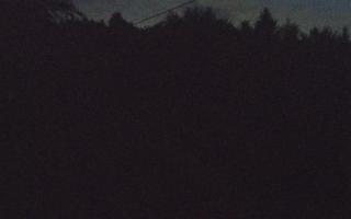 Laskowa pośredni - 13-05-2026 01:35
