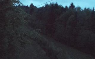 Laskowa pośredni - 13-05-2026 02:08