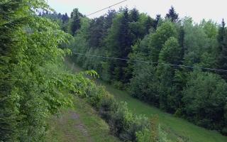 Laskowa pośredni - 13-05-2026 03:03