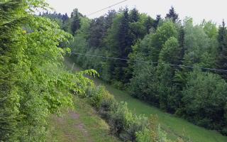 Laskowa pośredni - 13-05-2026 03:14