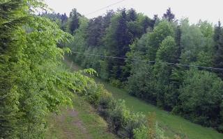 Laskowa pośredni - 13-05-2026 03:25