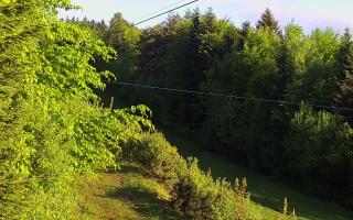 Laskowa pośredni - 13-05-2026 04:20