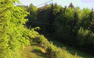 Laskowa pośredni - 13-05-2026 04:31