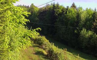 Laskowa pośredni - 13-05-2026 04:42